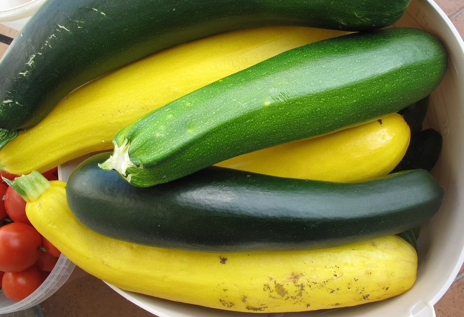 Кабачок: користь, вирощування та зберігання