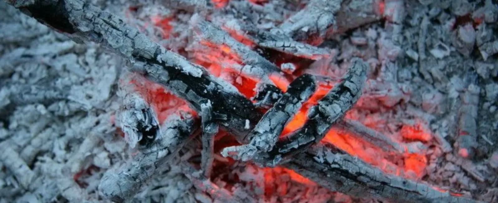 Деревна зола як добриво: як застосовувати, дози та корисні поради