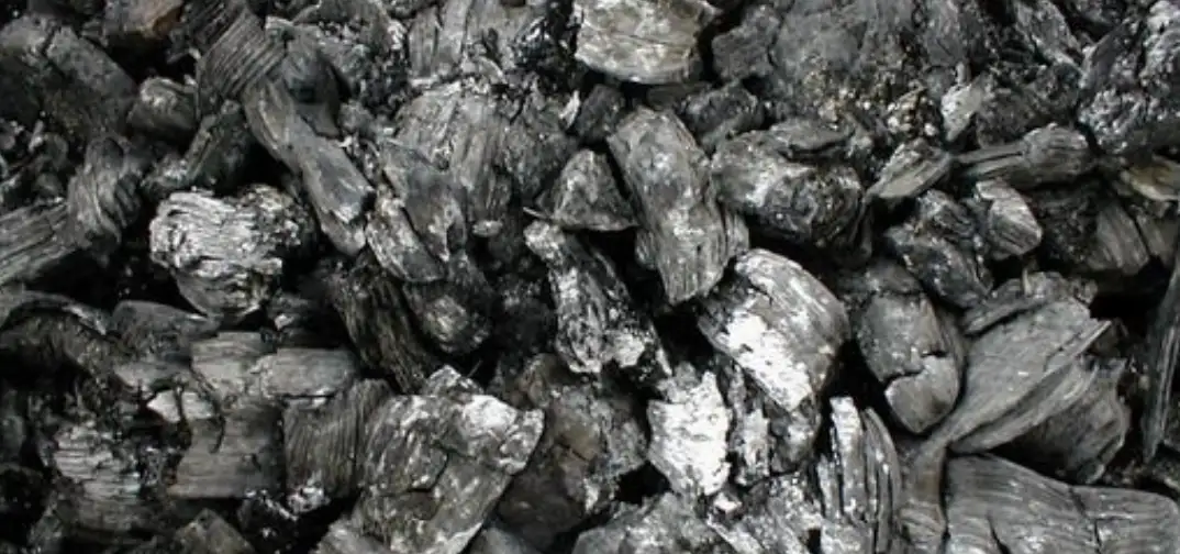 Деревна зола як добриво: як застосовувати, дози та корисні поради