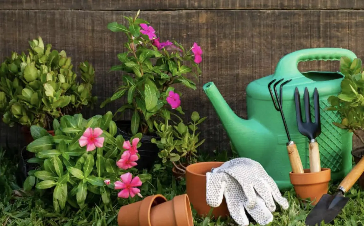 Що робити в саду та огороді у березні: повний календар робіт