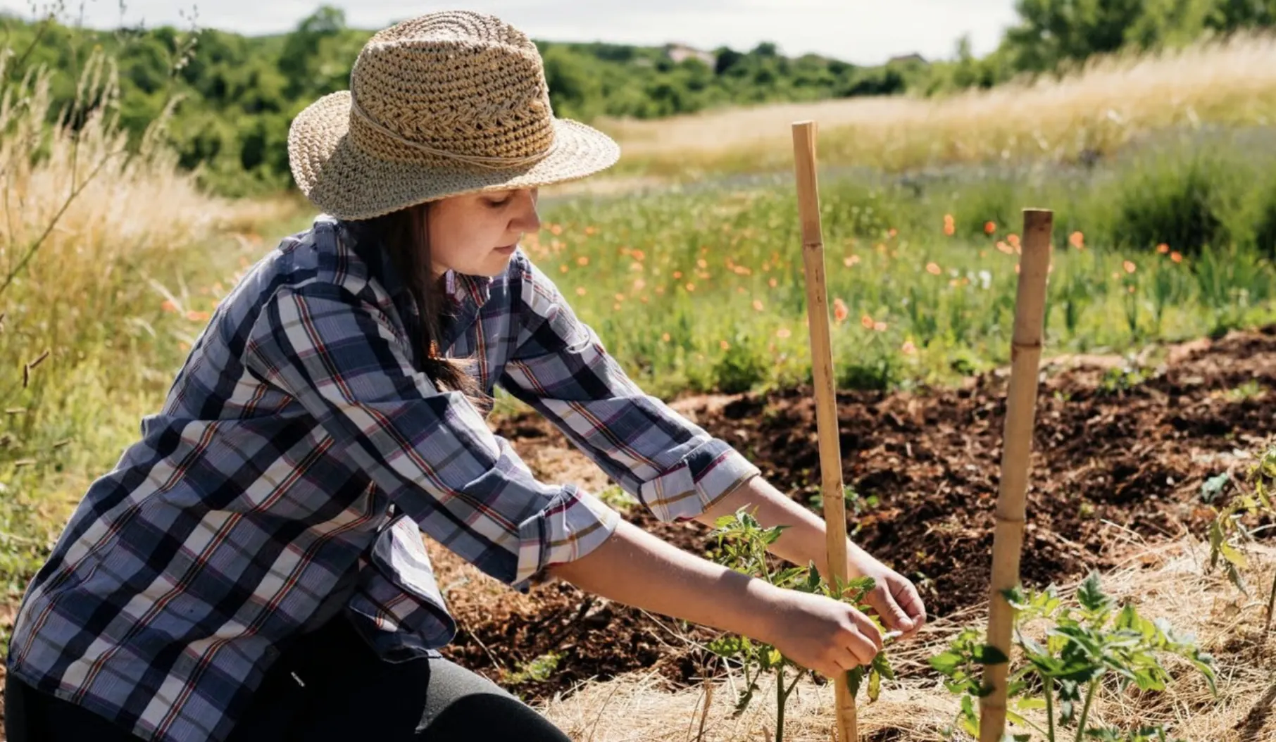 Що робити в саду і городі у квітні: повний календар робіт