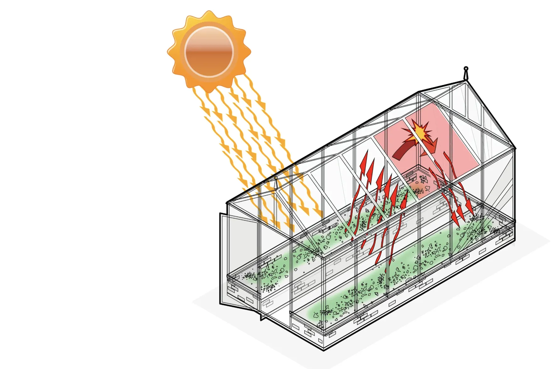 Як використовувати теплицю максимально ефективно: планування, зонування та сумісність культур