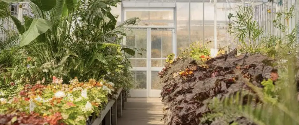 Як використовувати теплицю максимально ефективно: планування, зонування та сумісність культур 3