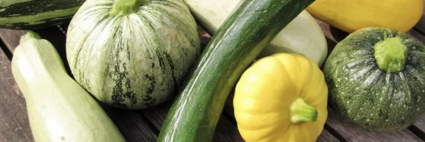 5 найкращих сортів кабачків-цукіні: огляд перевірених фаворитів