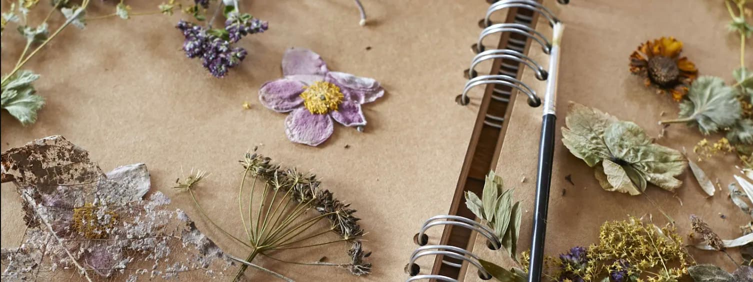 Як засушити квіти: 6 перевірених способів зберегти літо вдома