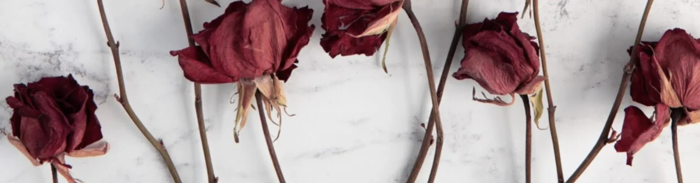 Як засушити квіти: 6 перевірених способів зберегти літо вдома