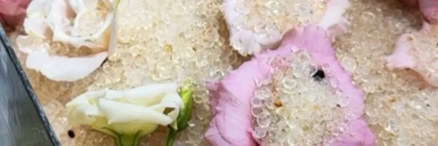 Як засушити квіти: 6 перевірених способів зберегти літо вдома